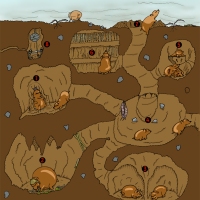 Mole VS Earthworm - Mole lair